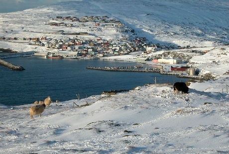 Những ngôi làng đẹp như tranh vẽ trên Quần đảo Faroe - 2 Những ngôi làng đẹp như tranh vẽ trên Quần đảo Faroe